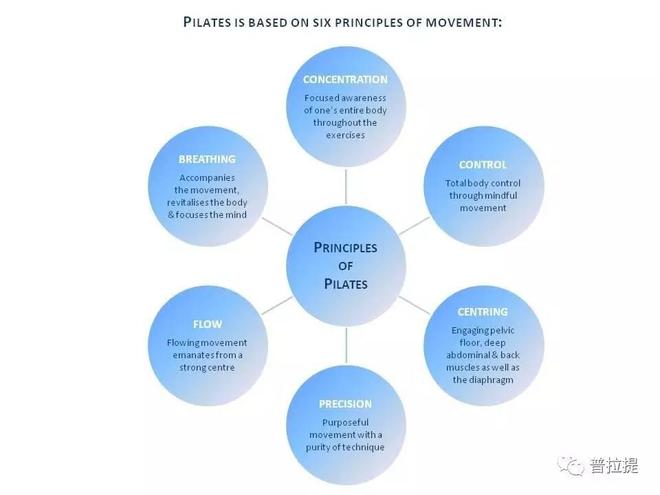 普拉提运动必须掌握的基星空体育app平台本原则(图4)