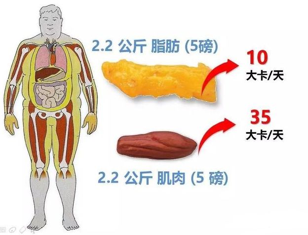 郎朗赚到了还是受骗了？吉娜18岁旧照曝光星空体育app平台“芭比身材”骗了所有人(图24)