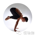 【星空体育中国入口瑜伽】MyPTyoga优秀瑜伽私人教练培训(图1)