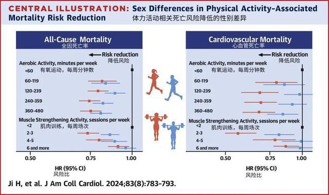 运动对健康有益女性运动“性星空体育中国入口价比”还高于男性！赶紧动起来！(图3)