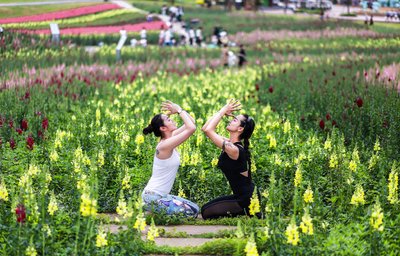 2017石象湖郁金香旅游星空体育中国入口节暨首届森林瑜伽万人挑战赛启幕(图2)